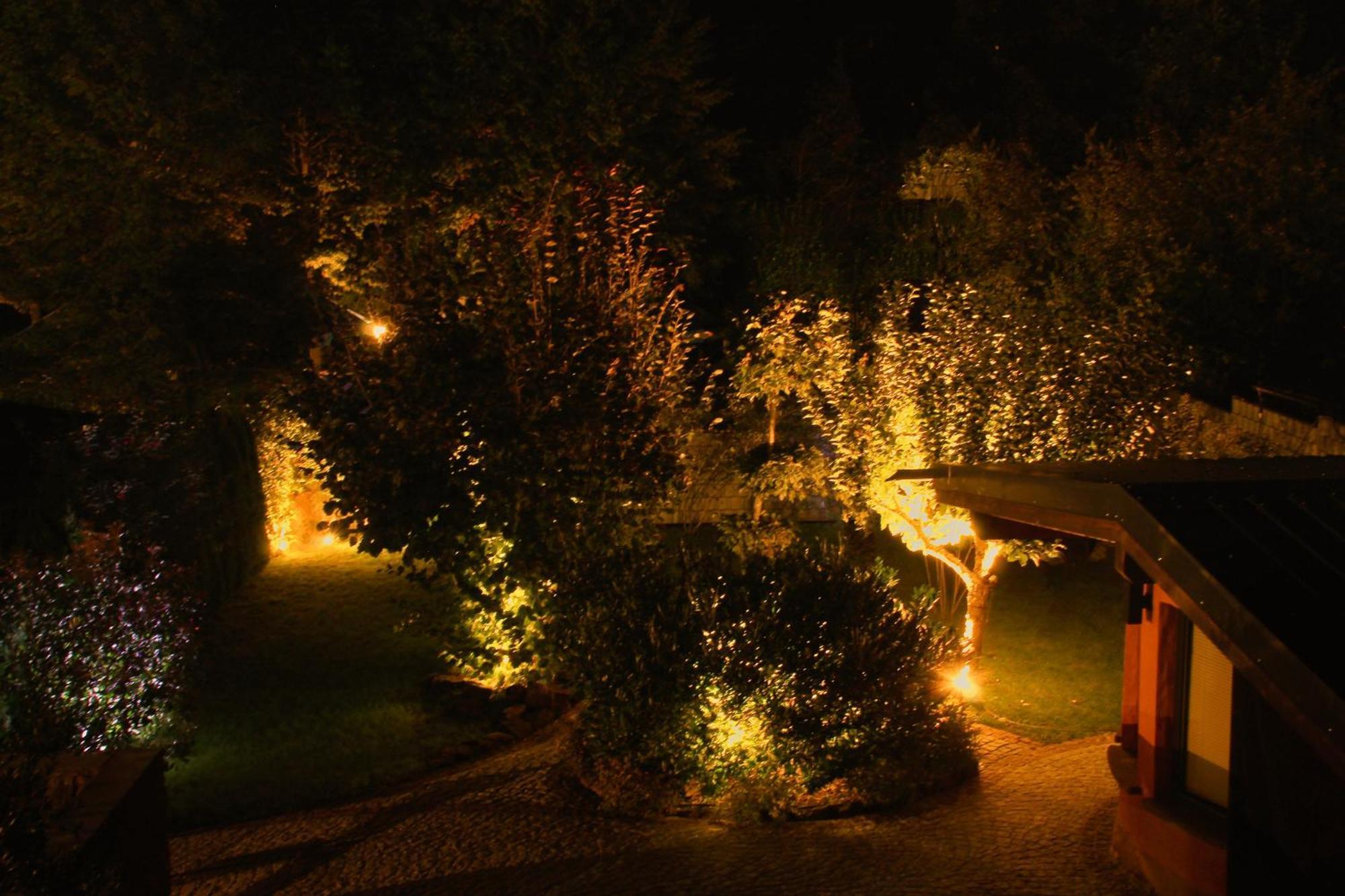 Ferienwohnung Altschloss Eppenbrunn Zewnętrze zdjęcie